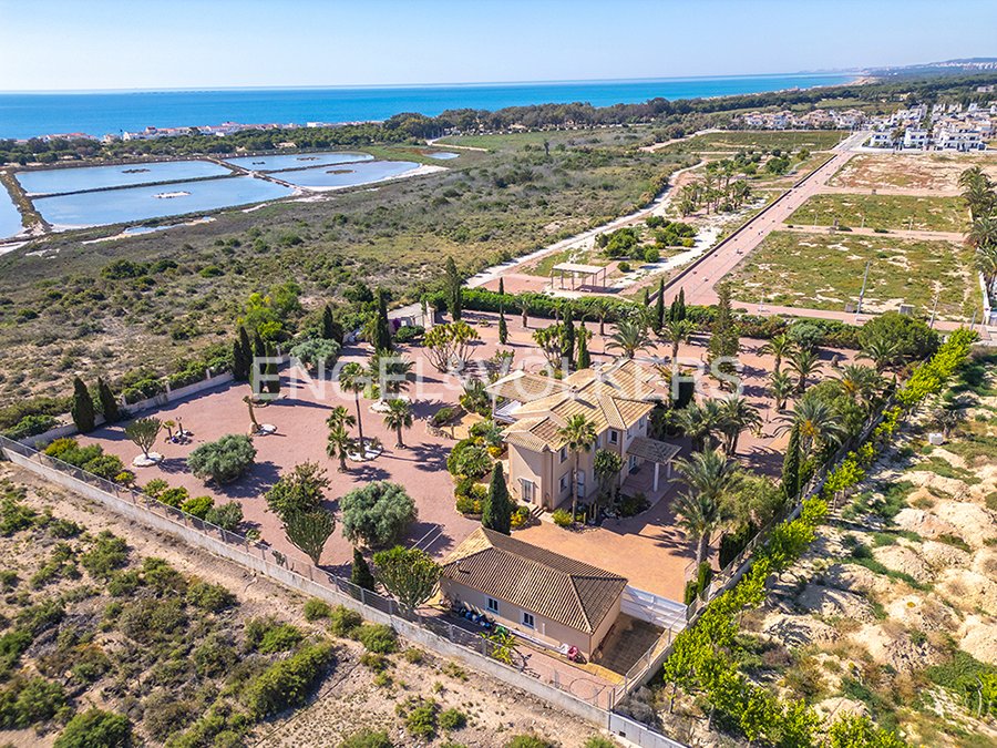 Villa in Elx / Elche, Valencian Community, Spain 2 - 18081709