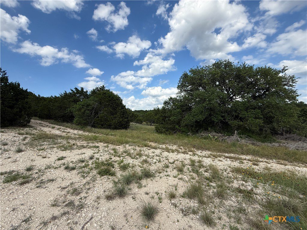 Farm Ranch in Salado, Texas, United States 4 - 18089752