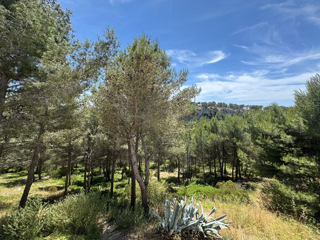 Villa in Ensuès-la-Redonne, Provence-Alpes-Côte d'Azur, France 3 - 18087495