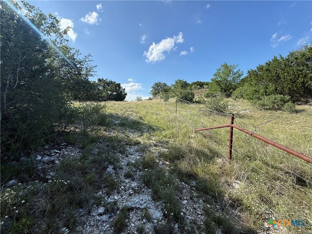 Farm Ranch in Salado, Texas, United States 5 - 18089752