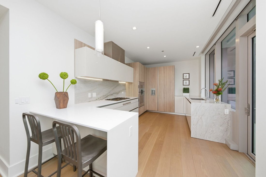 Condo in Chicago, Illinois, United States 3 - 18089033