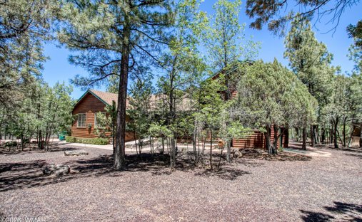 Show Low, Arizona, United States 1