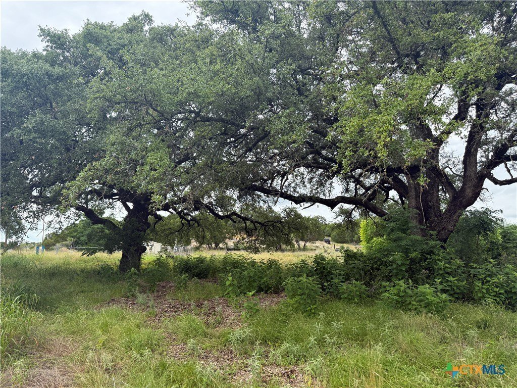 Farm Ranch in Salado, Texas, United States 3 - 18089752