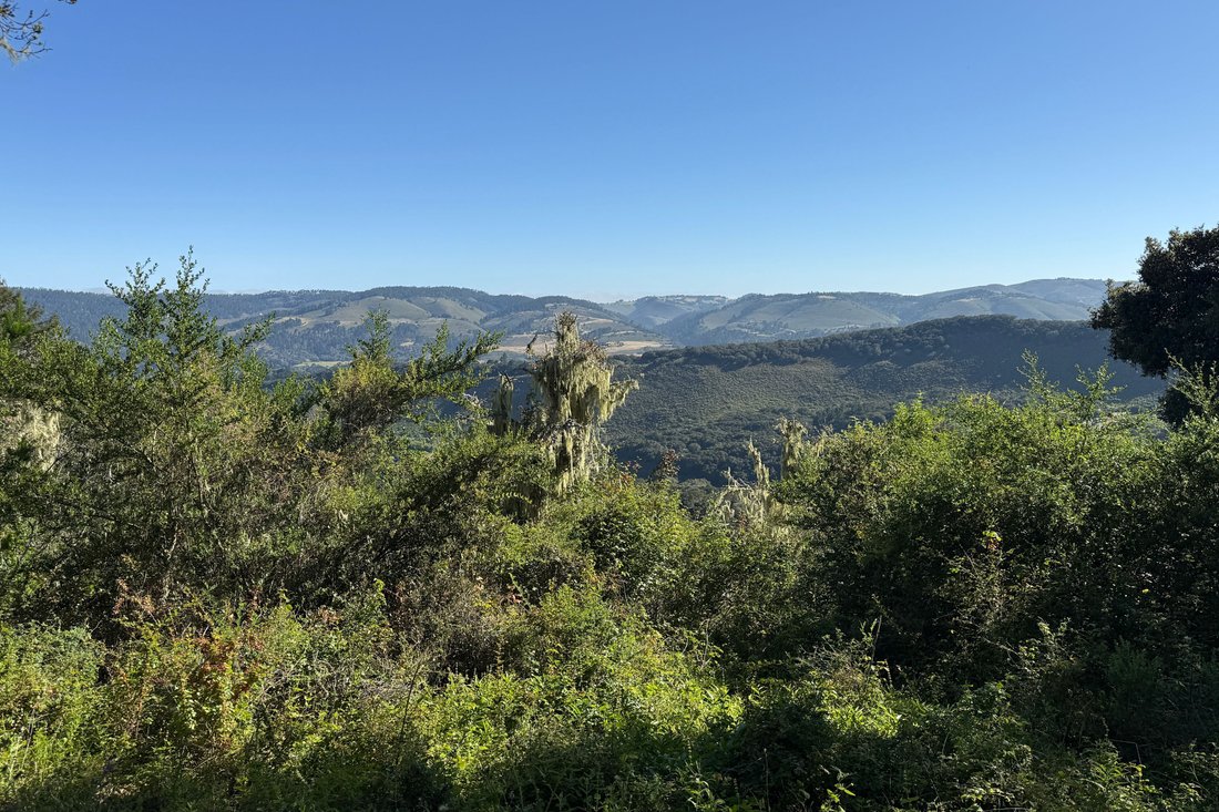 Land in Carmel-by-the-Sea, California, United States 2 - 18089827