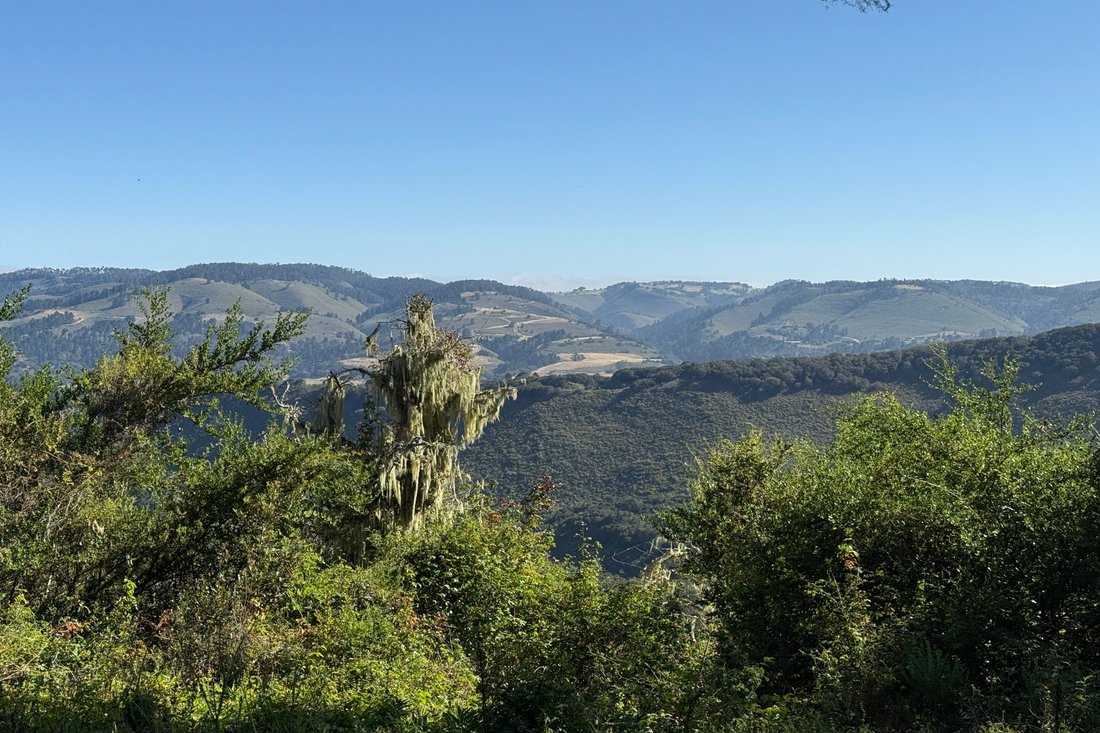 Land in Carmel-by-the-Sea, California, United States 1 - 18089827