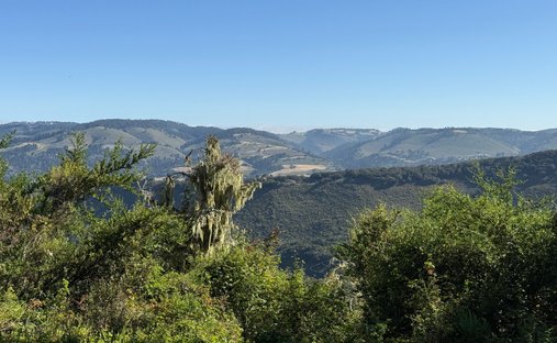 Land in Carmel-by-the-Sea, California, United States 1