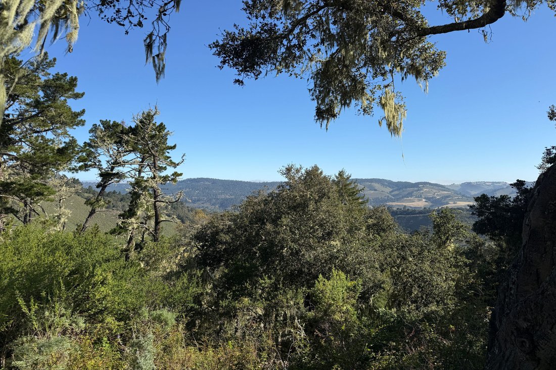 Land in Carmel-by-the-Sea, California, United States 3 - 18089827
