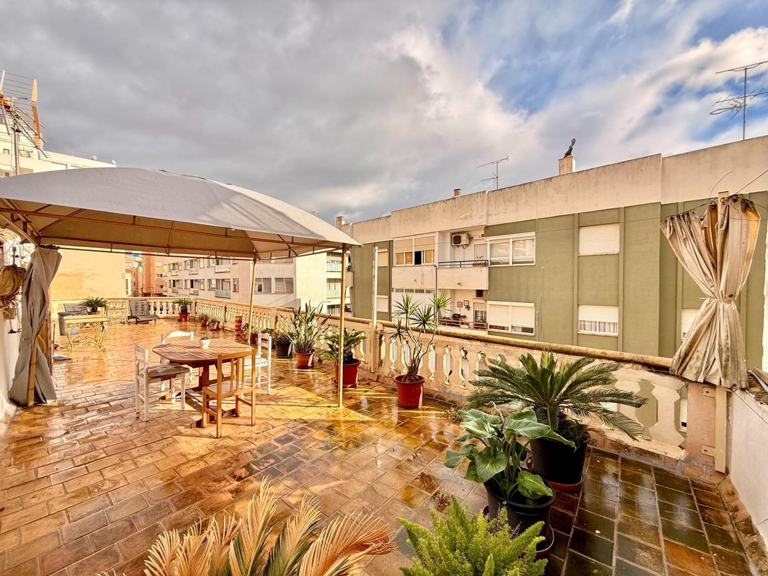 Apartment in Nou Llevant, Palma, Balearic Islands 1 - 18089811