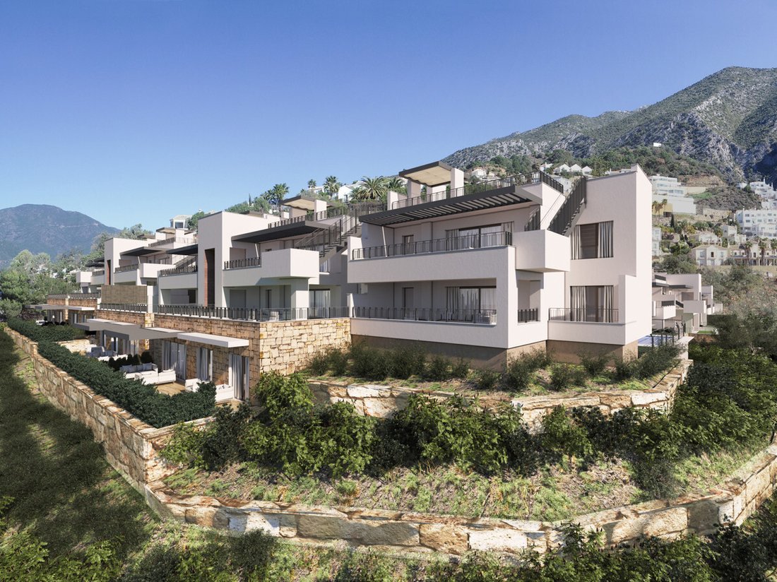 Istan, Andalusia, Spain 1 - 18090605
