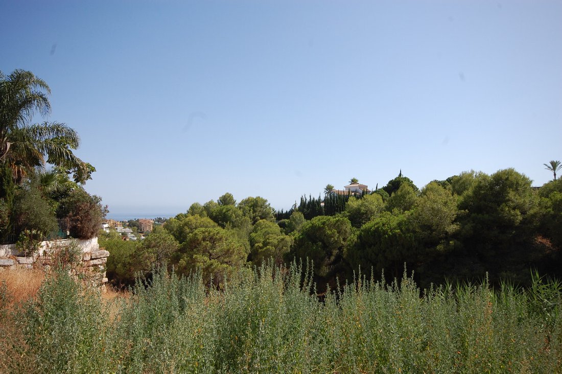 Villa in Estepona, Andalusia, Spain 5 - 18092574
