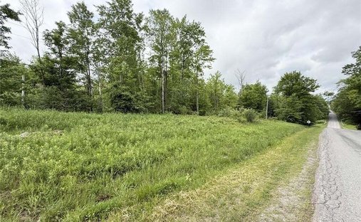 Land in Bemus Point, New York, United States 1