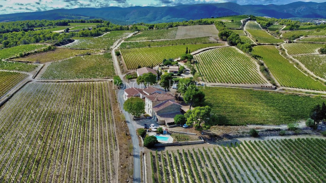 Farm Ranch in Minerve, Occitania, France 1 - 18090146