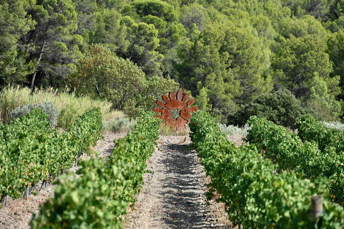 Farm Ranch in Minerve, Occitania, France 3 - 18090146