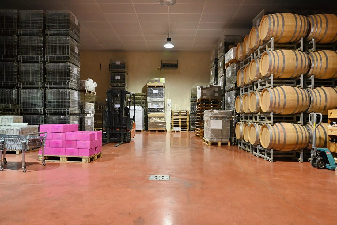 Farm Ranch in Minerve, Occitania, France 4 - 18090146