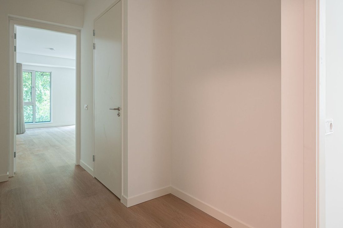 Apartment in Eindhoven, North Brabant, Netherlands 5 - 18090200