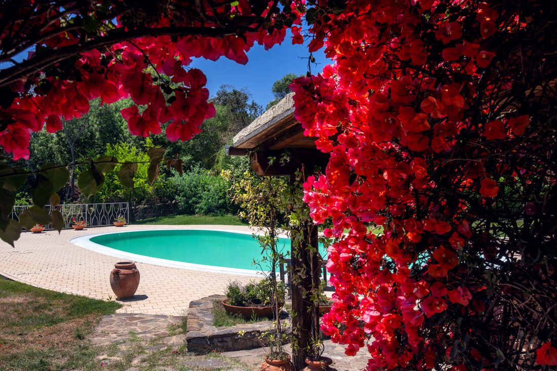 Villa in Porto Rotondo, Olbia, Sardinia 2 - 18090611