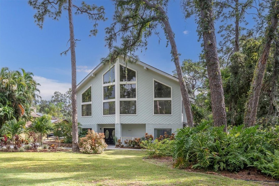 House in Seminole, Florida, United States 3 - 18095531