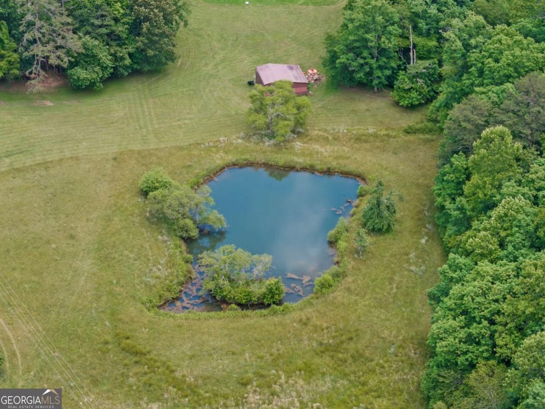 House in Mineral Bluff, Georgia, United States 4 - 18098507