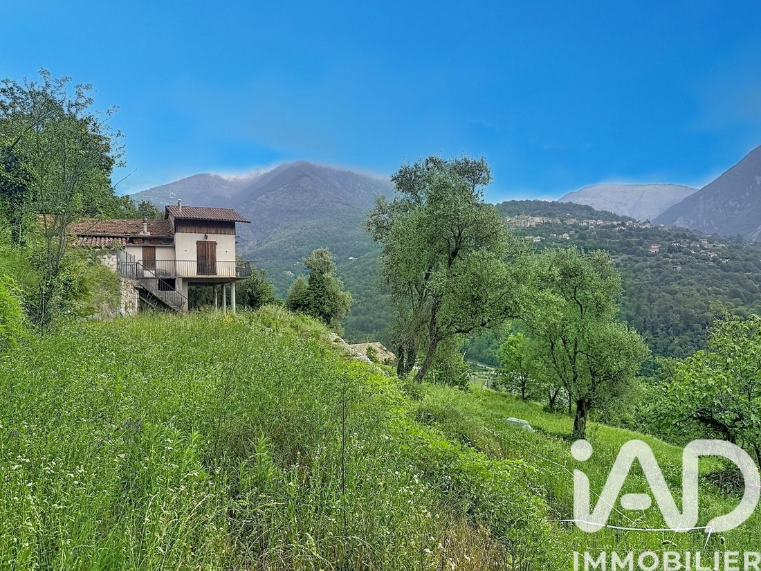 Land in Roquebilliere, Provence-Alpes-Côte d'Azur, France 3 - 18097206
