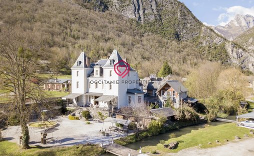 Castle in Saint-Beat-Lez, Occitania, France 1