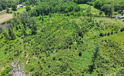 Terreno in Clyde, Carolina del Nord, Stati Uniti 1