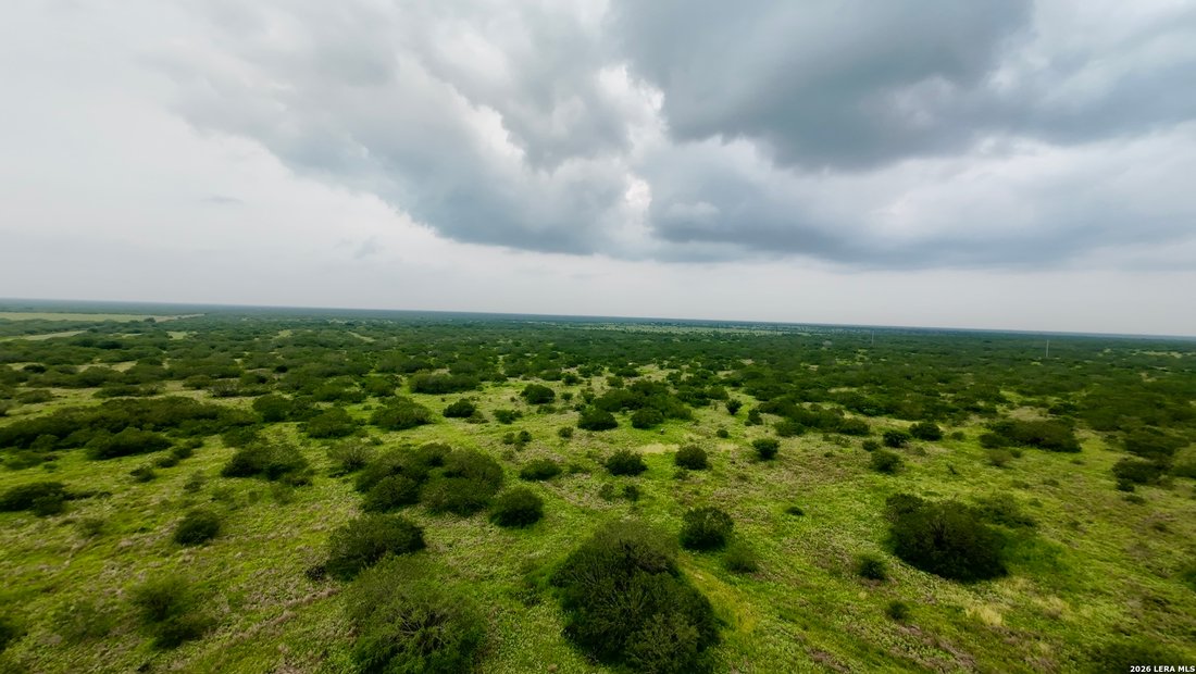 Farm Ranch in Realitos, Texas, United States 3 - 18108238