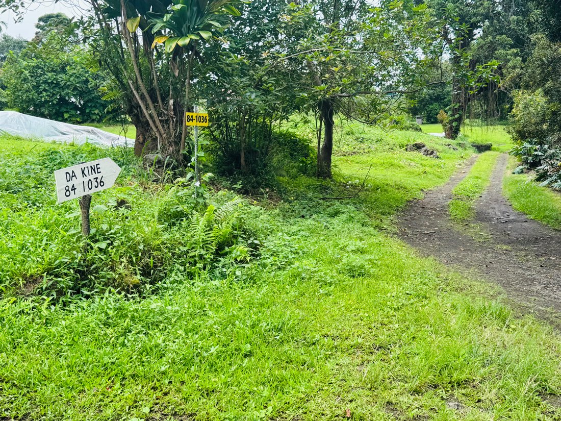 Azienda agricola a Captain Cook, Hawaii, Stati Uniti 2 - 18102342