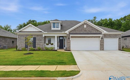 House in Madison, Alabama, United States 1