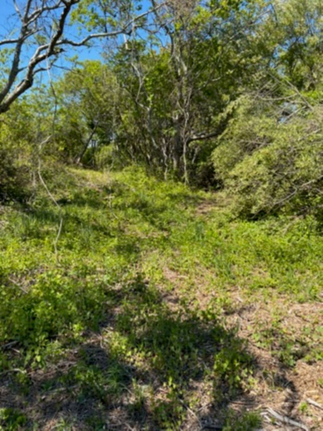 Land in New Shoreham, Rhode Island, United States 1 - 18107717