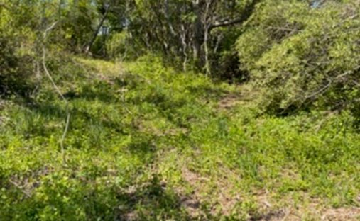 Land in New Shoreham, Rhode Island, United States 1
