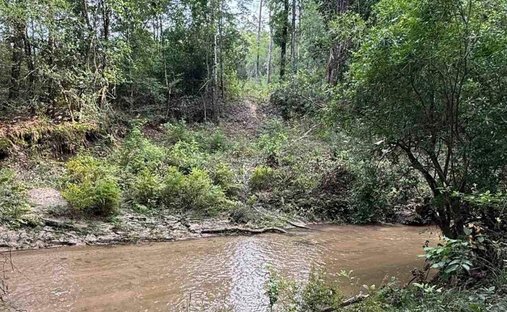 Land in Jay, Florida, United States 1