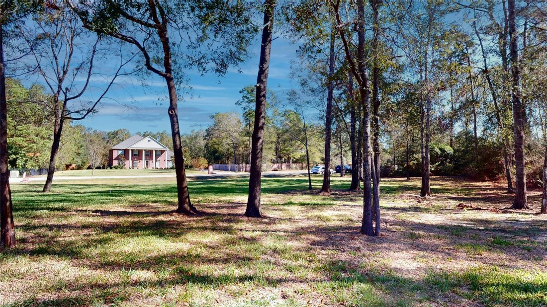 House in Spring, Texas, United States 5 - 18101205