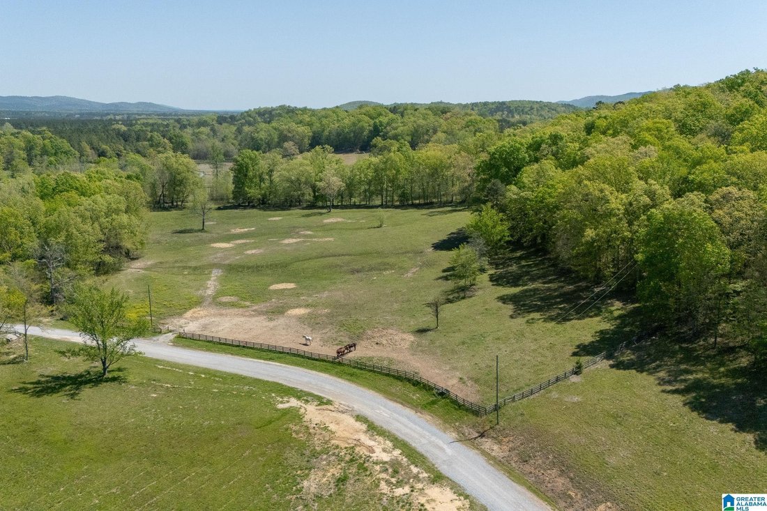 House in Ashville, Alabama, United States 5 - 18095822