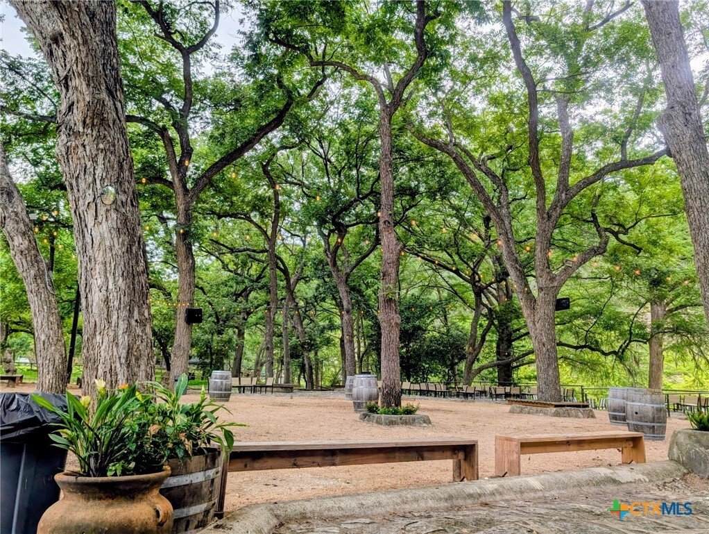 Apartment in New Braunfels, Texas, United States 5 - 18100614