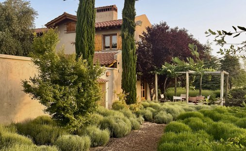 Finca in San Carlos, Mendoza, Argentinien 1