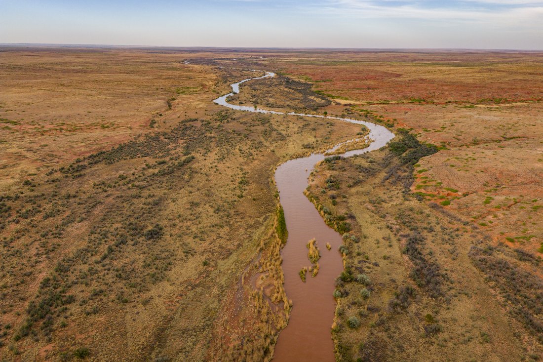 Farm Ranch in Fort Sumner, New Mexico, United States 1 - 18097509