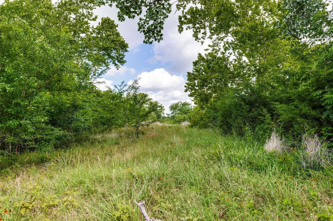 Land in Savoy, Texas, United States 3 - 18107803