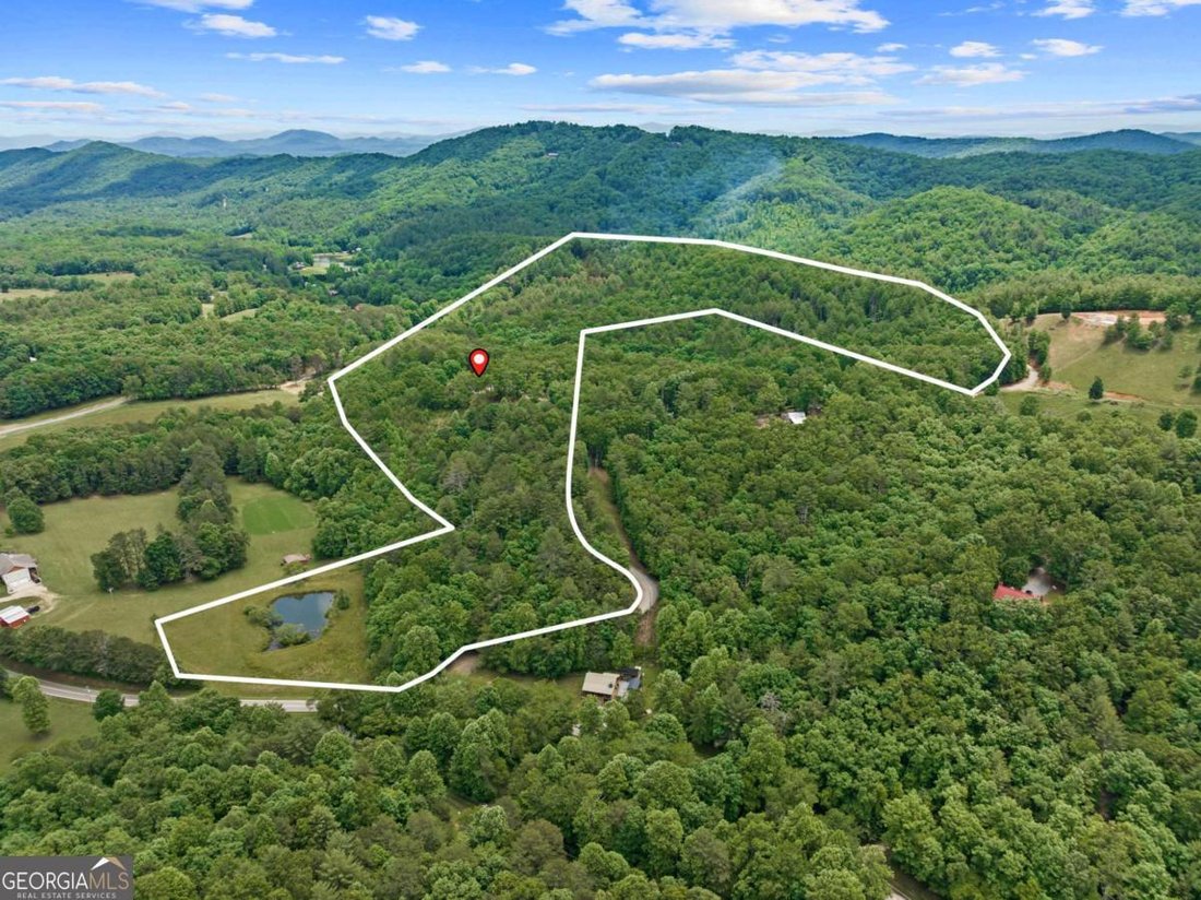 House in Mineral Bluff, Georgia, United States 3 - 18098507
