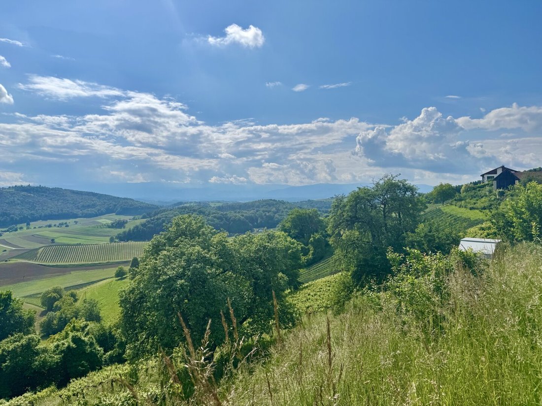 Country House in Leibnitz, Styria, Austria 4 - 18099524