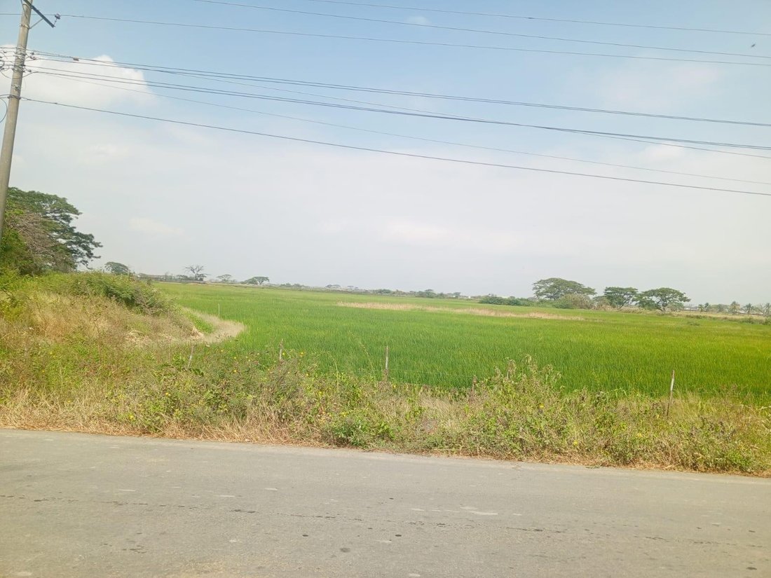 Land in Samborondón, Guayas, Ecuador 4 - 18093117