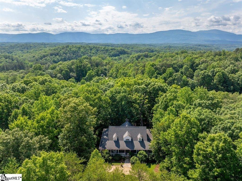 House in Mill Spring, North Carolina, United States 4 - 18105101