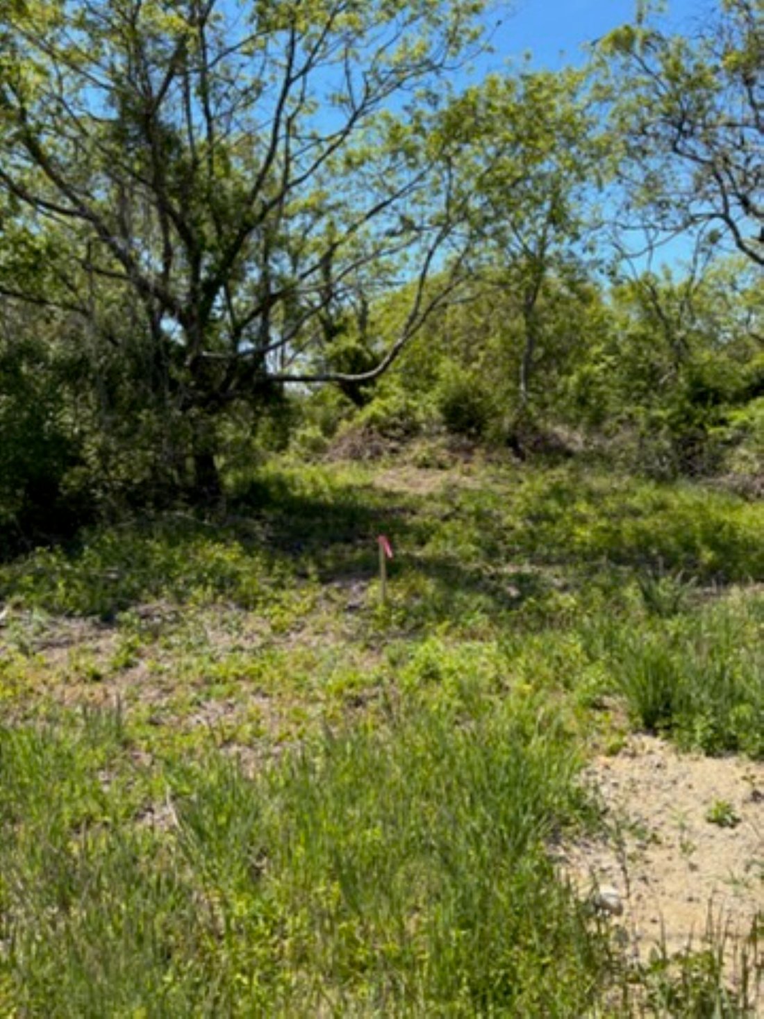 Land in New Shoreham, Rhode Island, United States 2 - 18107717