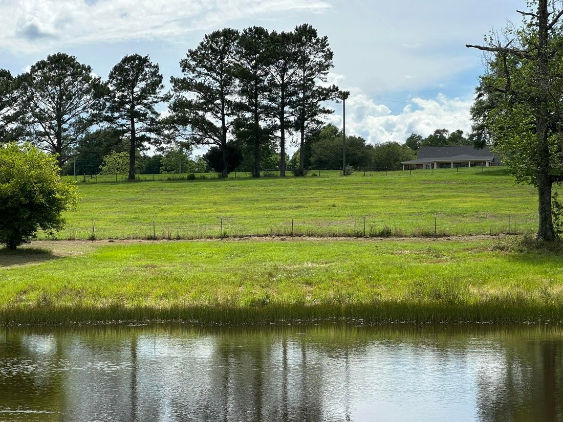 House in Florala, Alabama, United States 3 - 18108359