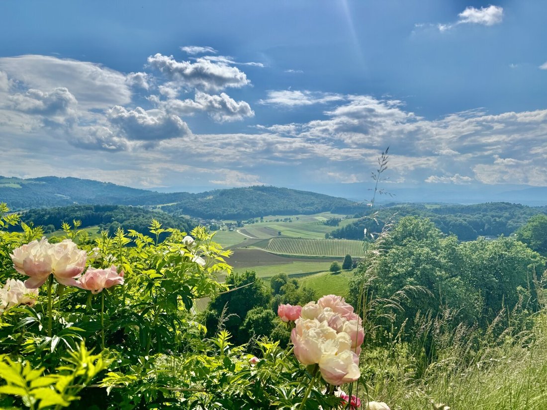 Country House in Leibnitz, Styria, Austria 3 - 18099524