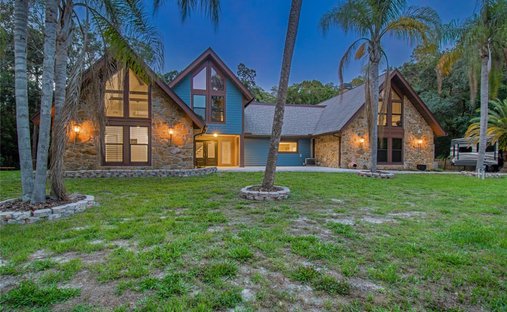 Maison à Trinity, Floride, États-Unis 1
