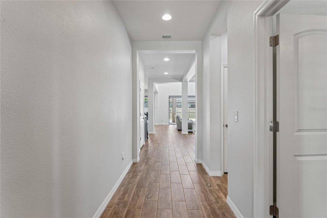 House in Odessa, Florida, United States 3 - 18091534