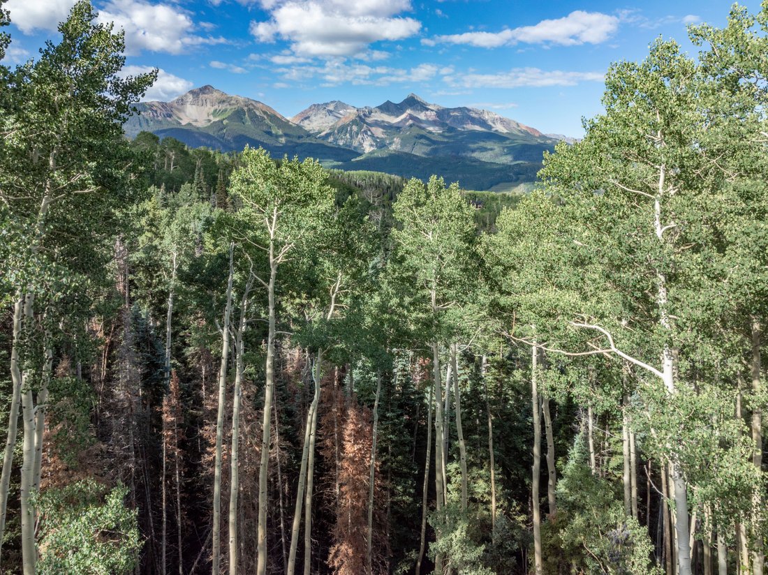 Mountain Village, Colorado, United States 5 - 18093178