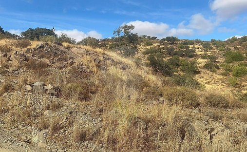 Terreno en Santana de Cambas, Distrito de Beja, Portugal 1