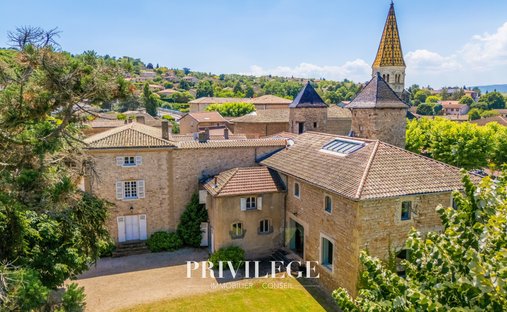 Castle in Limas, Auvergne-Rhône-Alpes, France 1