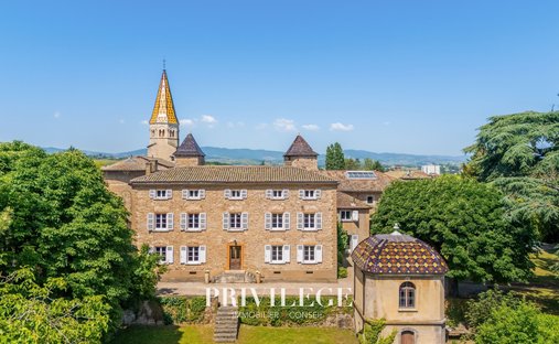 Castello a Limas, Auvergne-Rodano-Alpi, Francia 1